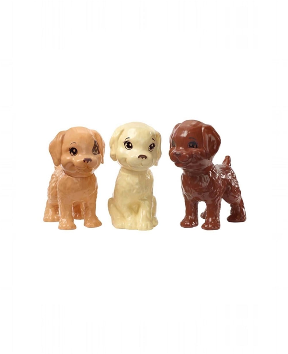 Breadcrumbut, Barbie, Barbie Bebek ve Aksesuarları 3 Yavru Köpekli Oyun Seti GDJ37