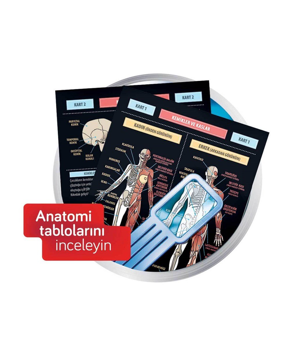 Breadcrumbut, Clementoni, Clementoni Bilim Seti İnsan Vücudu 64457