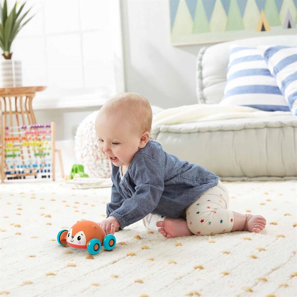 Breadcrumbut, Fisher Price, Fisher Price 2'si 1 Arada Sevimli Hayvancıklar GTJ61 GVL62 Tilki