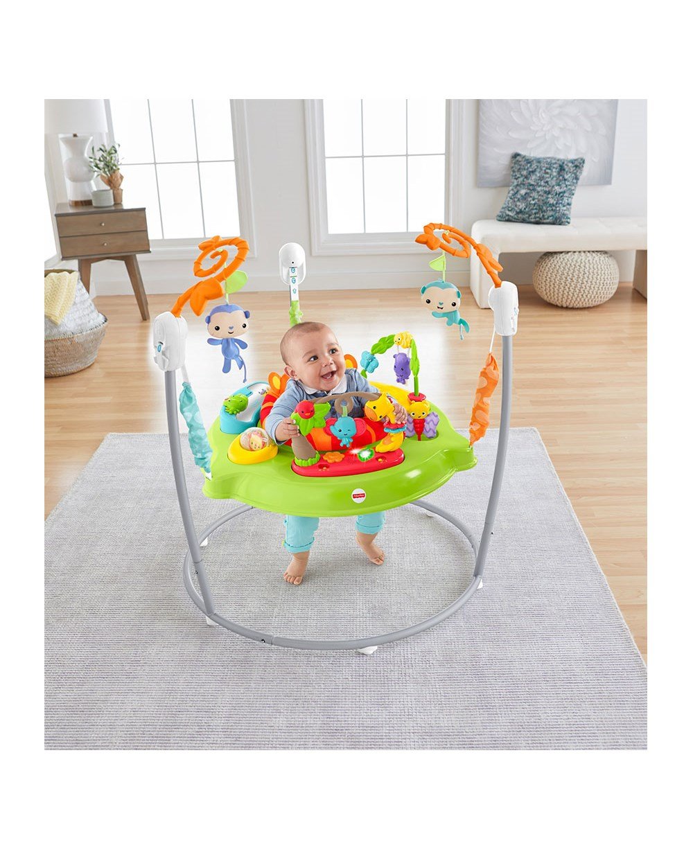 Breadcrumbut, Fisher Price, Fisher Price Renk Karnavalı Katlanabilir Jumperoo CHM91