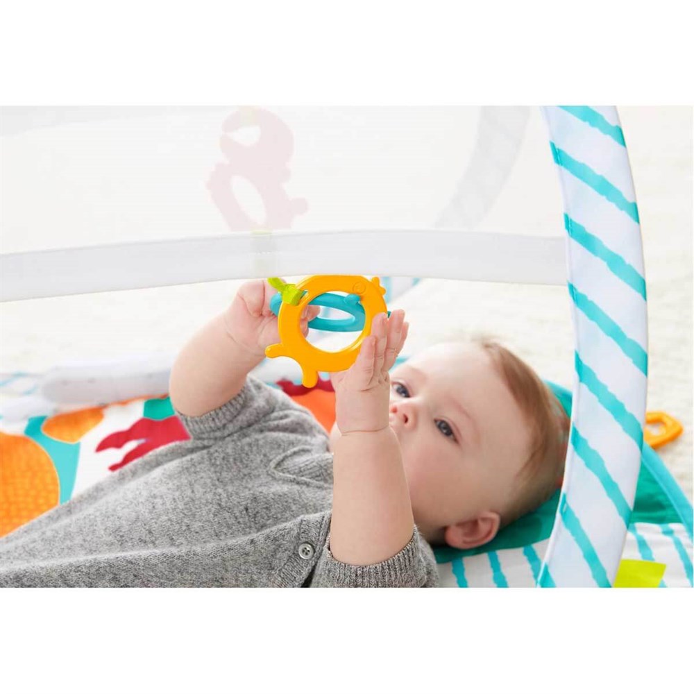 Breadcrumbut, Fisher Price, Fisher Price Renkli Dostlar Taşınabilir Jimnastik Merkezi FXC15