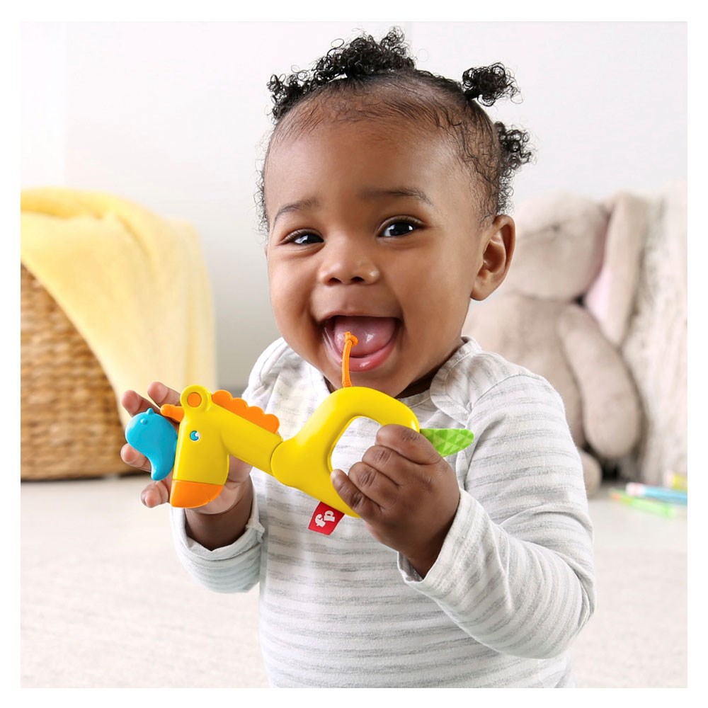 Breadcrumbut, Fisher Price, Fisher Price Sevimli Dostlar Dişlik ve ÇıngıraklarGHK76 GGF05