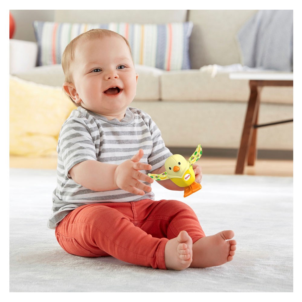 Dişlik ve Çıngıraklar, Fisher Price, Fisher Price Süprizli Oyuncaklar GJW22 GLD06
