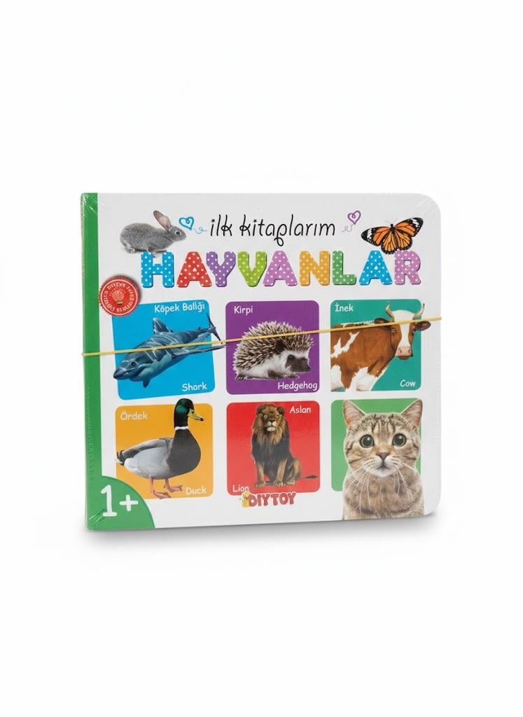 Eşleştirme Oyunları, Laço Kids, İlk Kitaplarım Set