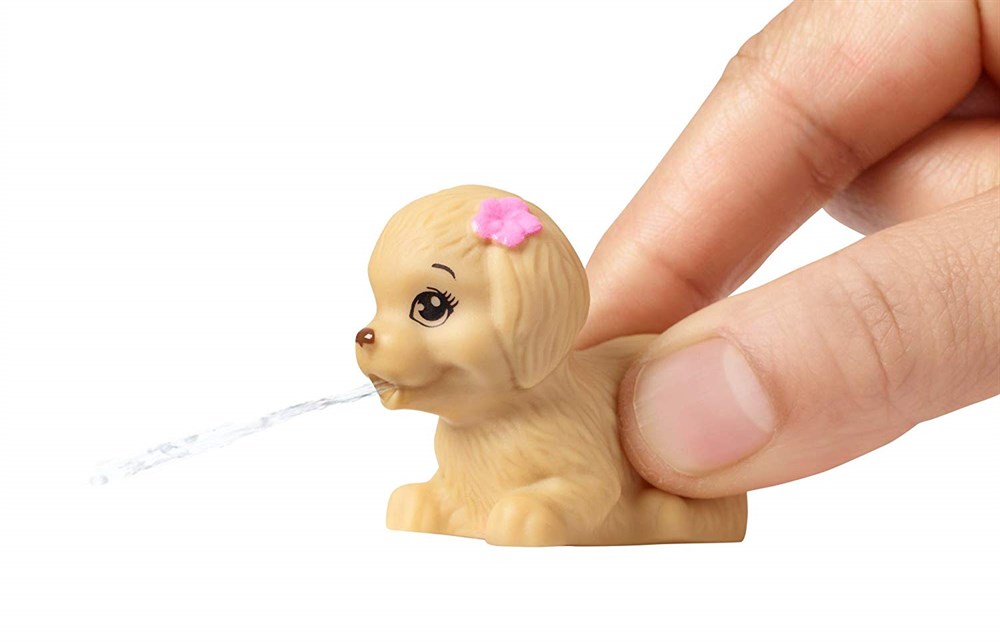 Evcilik Aksesuarları, Barbie, Barbie Bebek'in Ev Dışı Dekorasyon Aksesuarları FXG37 FXG38 Can Simidi Oyun Seti