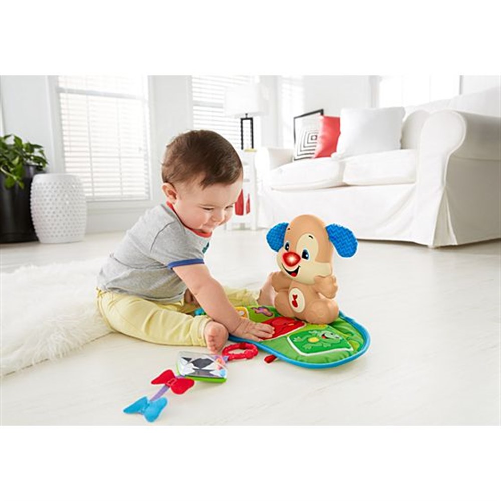 Fisher Price Köpekçik ve Arkadaşları Jimnastik Merkezi FBD50