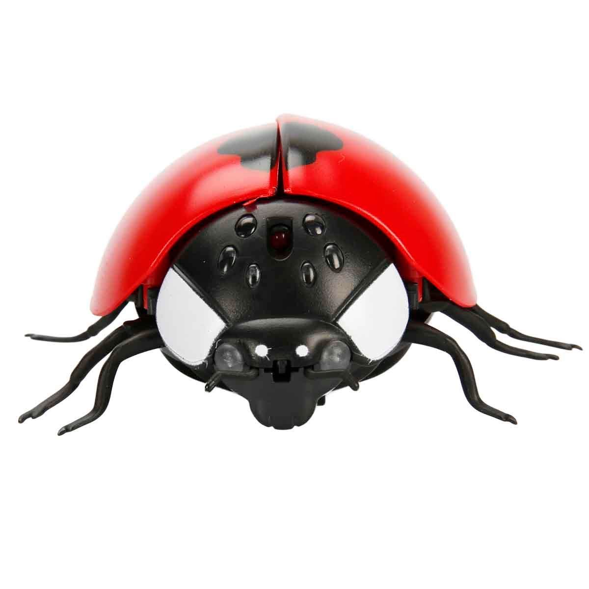 Fonksiyonel Hayvanlar, Sunman, Crazoo Kumandalı Işıklı Uğur Böceği