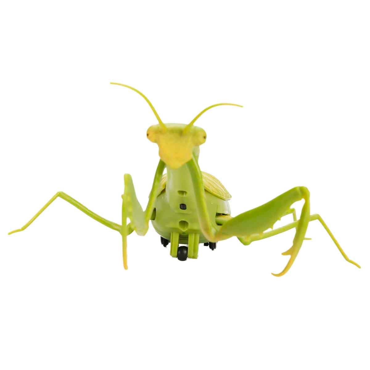 Fonksiyonel Hayvanlar, Sunman, Crazoo Kumandalı Işıklı Dev Çekirge