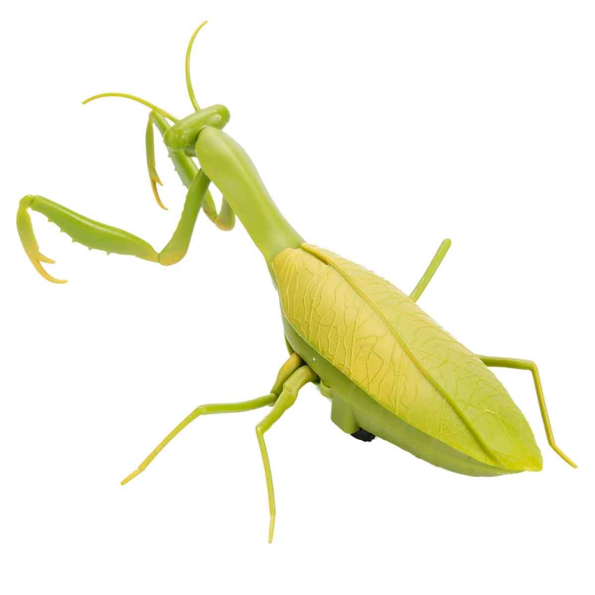 Fonksiyonel Hayvanlar, Sunman, Crazoo Kumandalı Işıklı Dev Çekirge