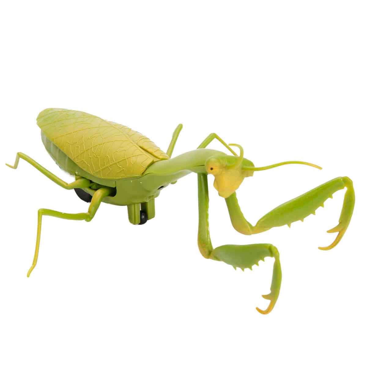 Fonksiyonel Hayvanlar, Sunman, Crazoo Kumandalı Işıklı Dev Çekirge