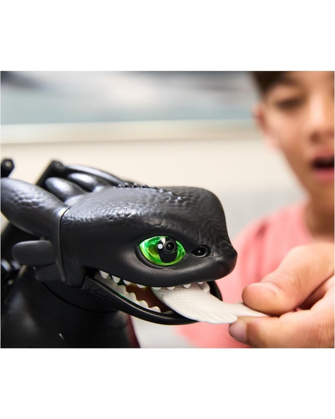 Fonksiyonel Hayvanlar, Sunman, Ejderhanı Nasıl Eğitirsin Ejderha İnteraktif Toothless