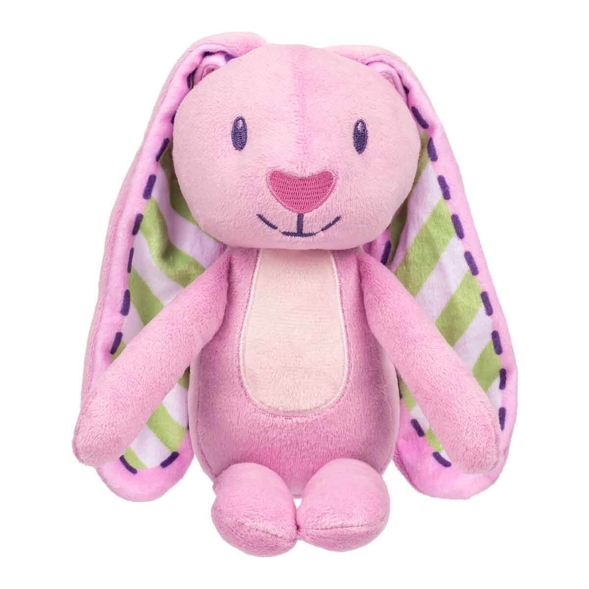 Kolleksiyon Karakterleri, NECOTOYS, Bluey Pelüş Figür 18 cm 80655 Floppy
