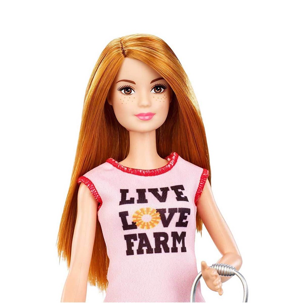 Manken Bebekler, Barbie, Barbie Ben Büyüyünce Meslek Setleri Tavuk Yetiştiricisi DHB63 FXP15