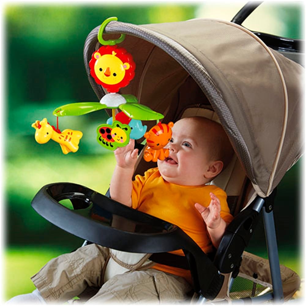 Sevimli Aslancık Dönence