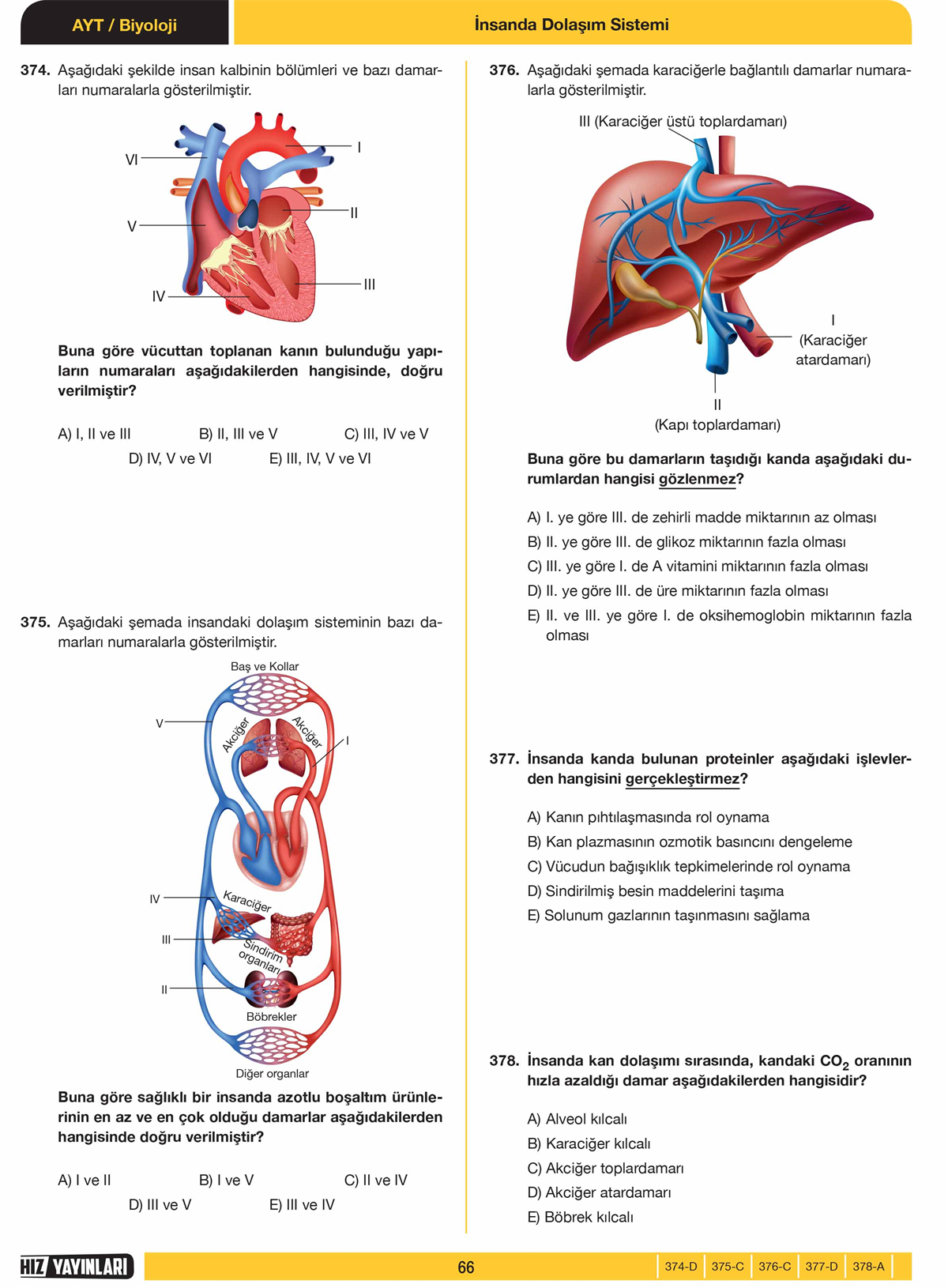 2020 - AYT SON 500 SORU BİYOLOJİ