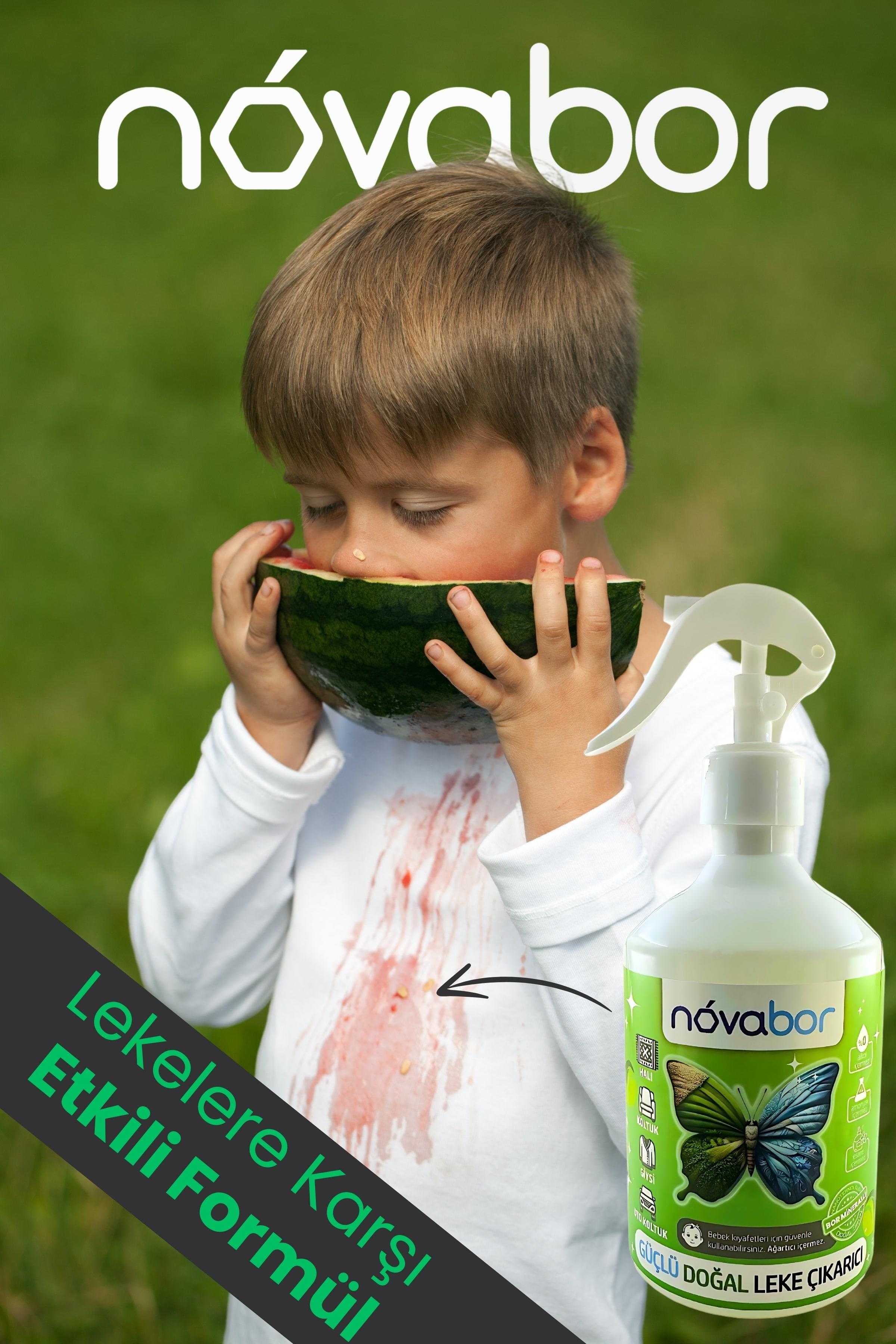 Novabor Leke Çıkarıcı 500 Ml