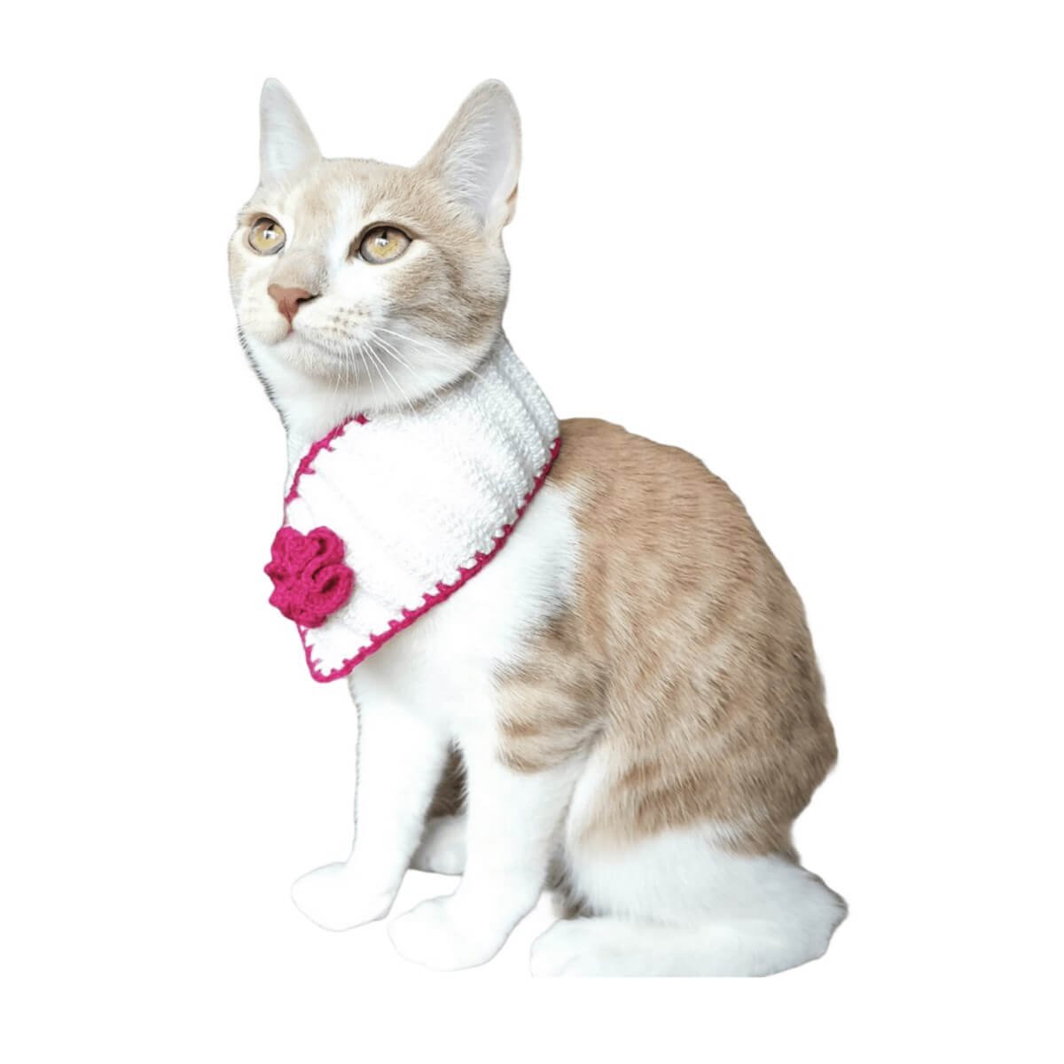 El Örgüsü Kedi Boyunluk Aksesuarı-Ev Gereçleri-QuzucukKids.com