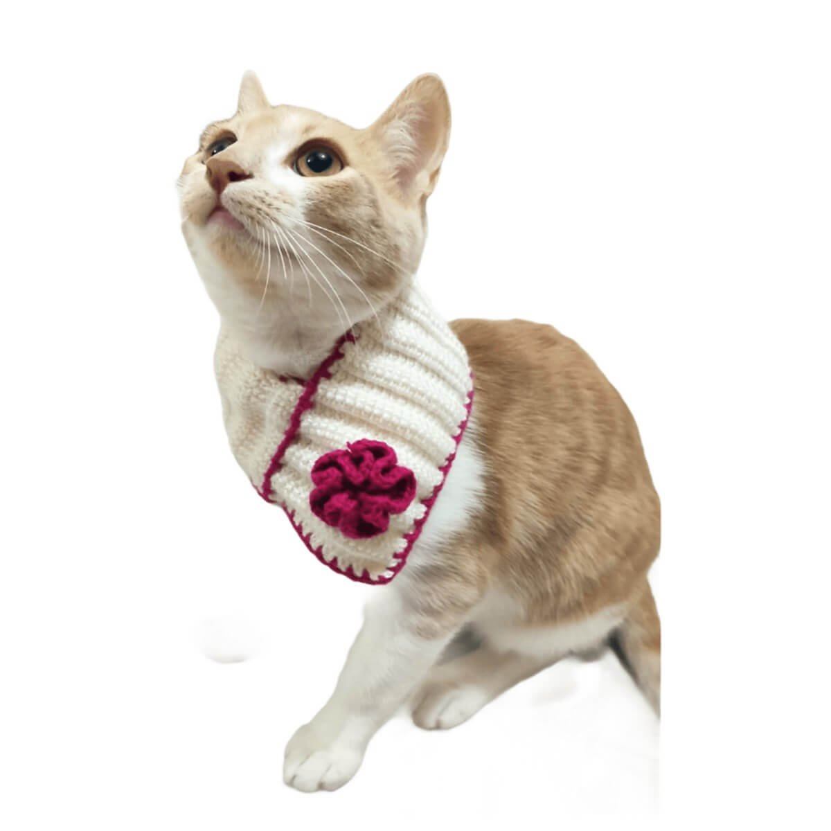 El Örgüsü Kedi Boyunluk Aksesuarı-Ev Gereçleri-QuzucukKids.com