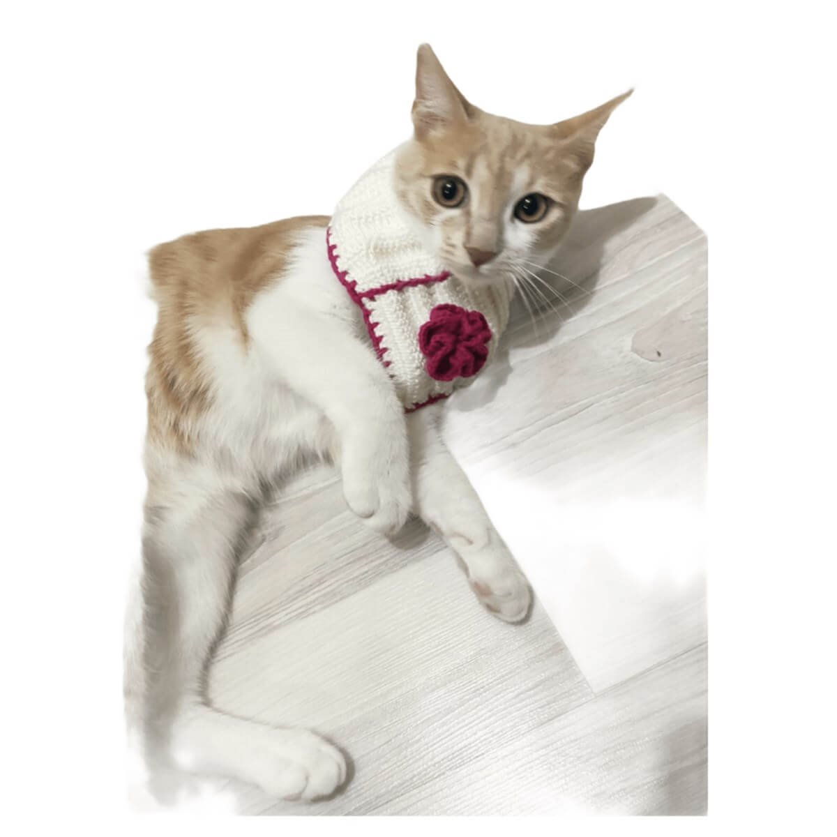 El Örgüsü Kedi Boyunluk Aksesuarı-Ev Gereçleri-QuzucukKids.com