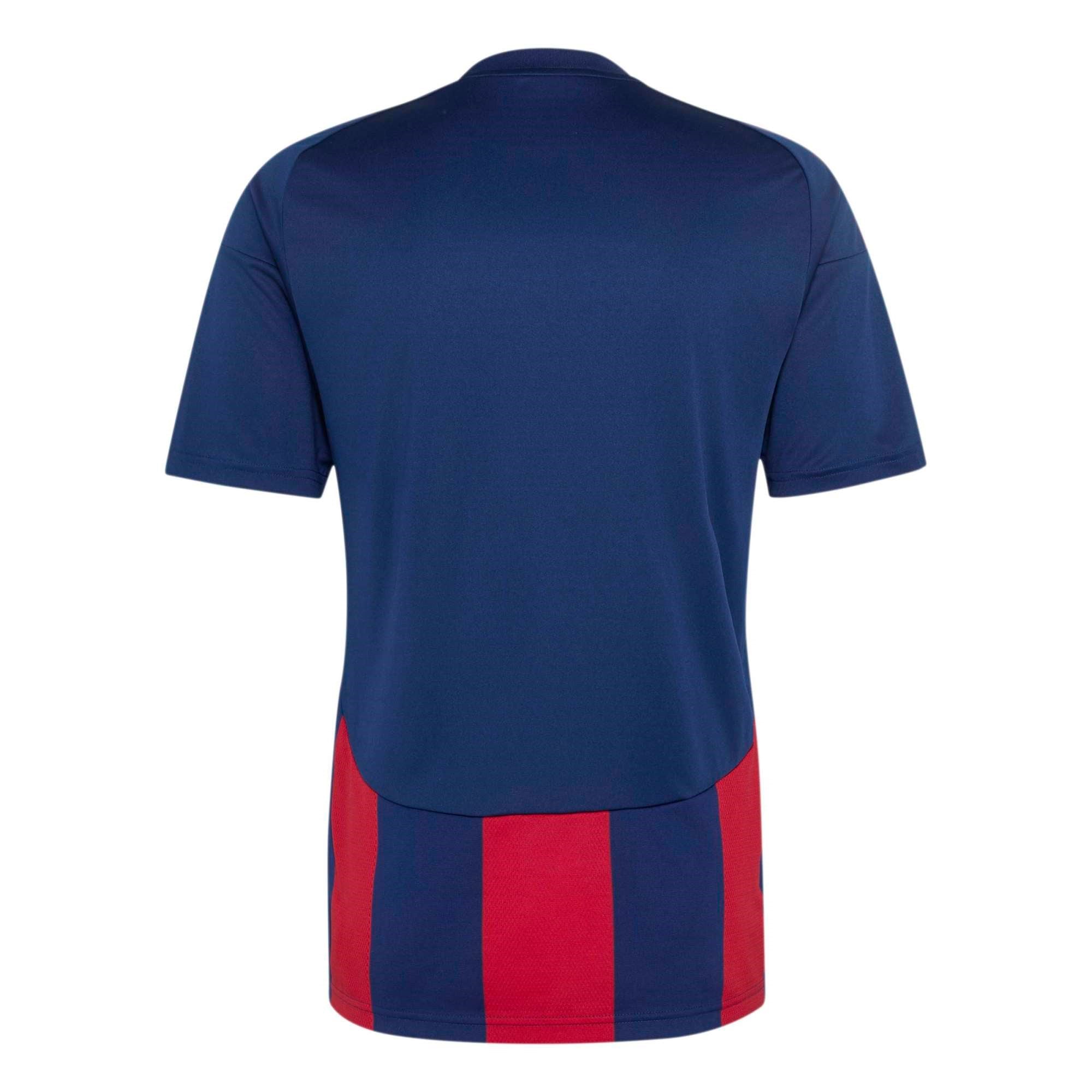 Adidas Erkek Futbol Forma Striped 24 Jsy Kr3320