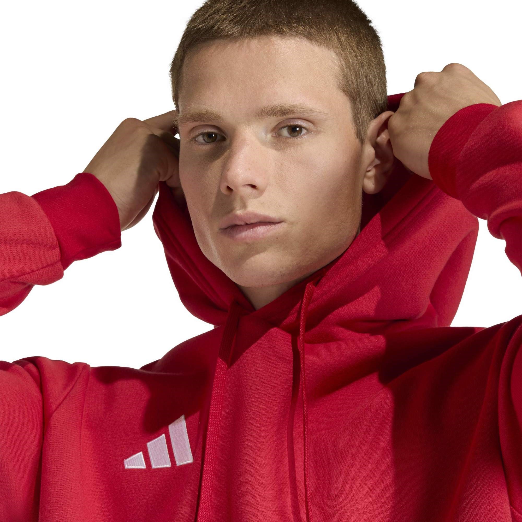 Adidas Erkek Futbol Kapşonlu Sweatshirt Ent26 Hoody Jz6576