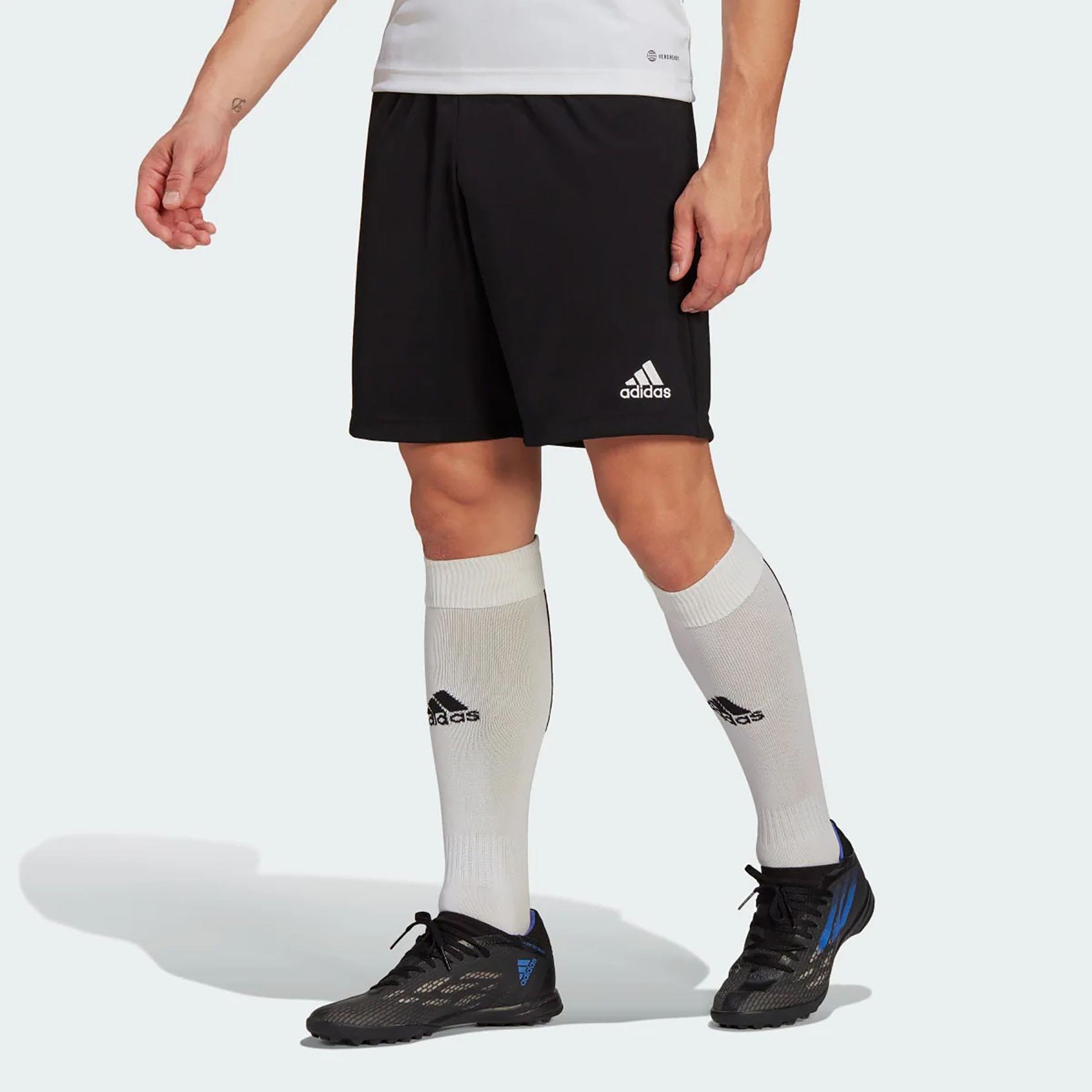 Adidas Erkek Futbol Şort Ent22 Tr Sho Hb0575 ENT22 TR SHO