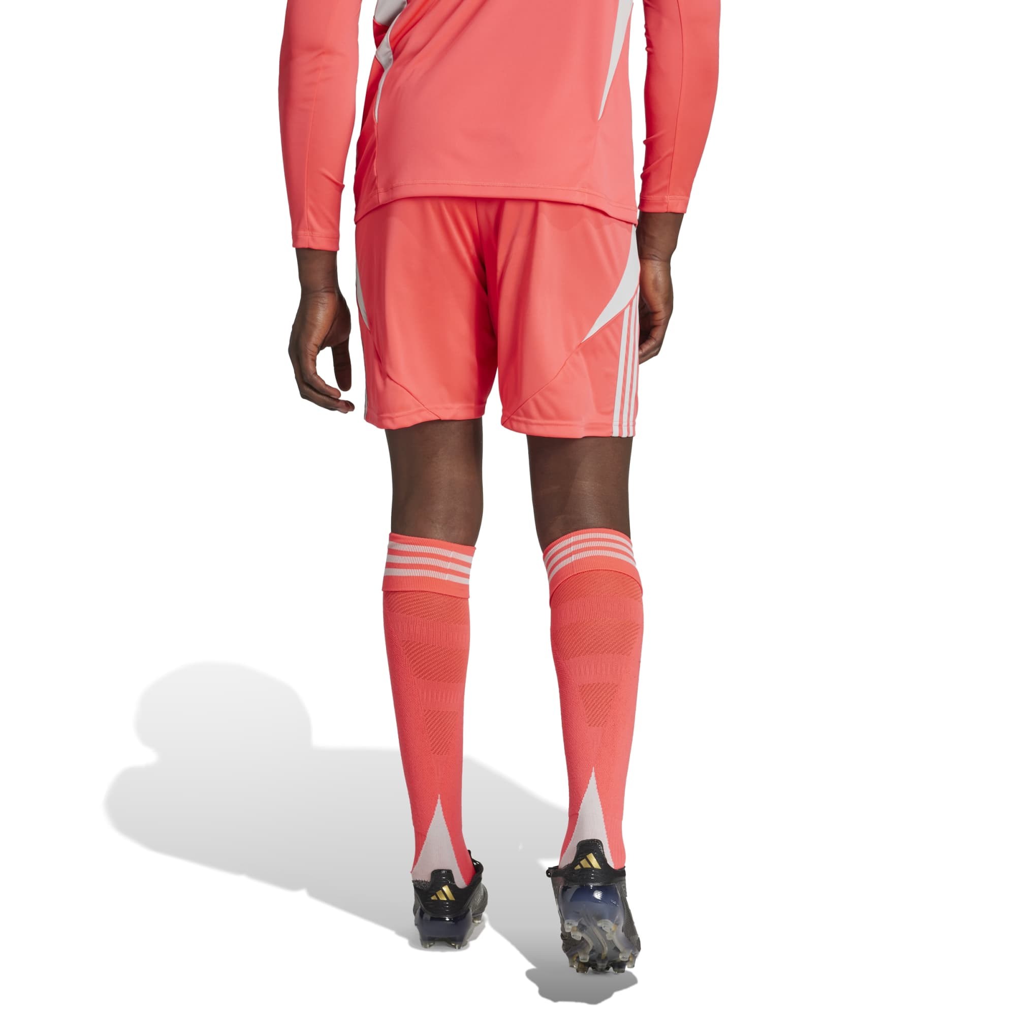 Adidas Erkek Futbol Şort Tiro24 Sho Jı6091