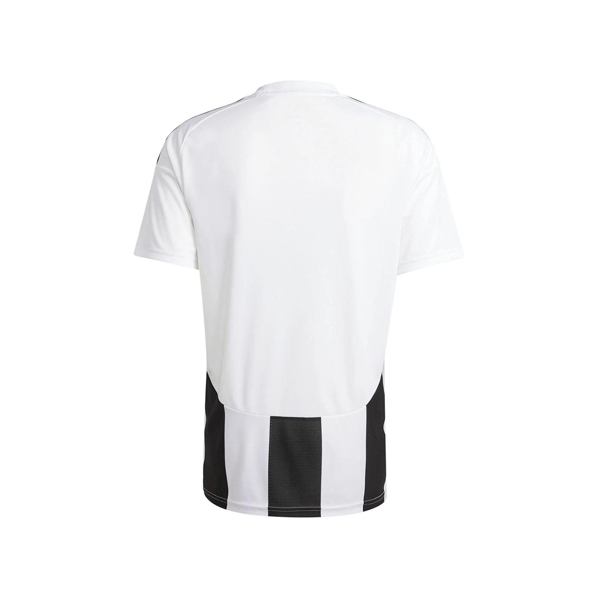 Adidas Erkek Futbol T-shirt Striped 24 Jsy Iw2143 STRIPED 24 JSY