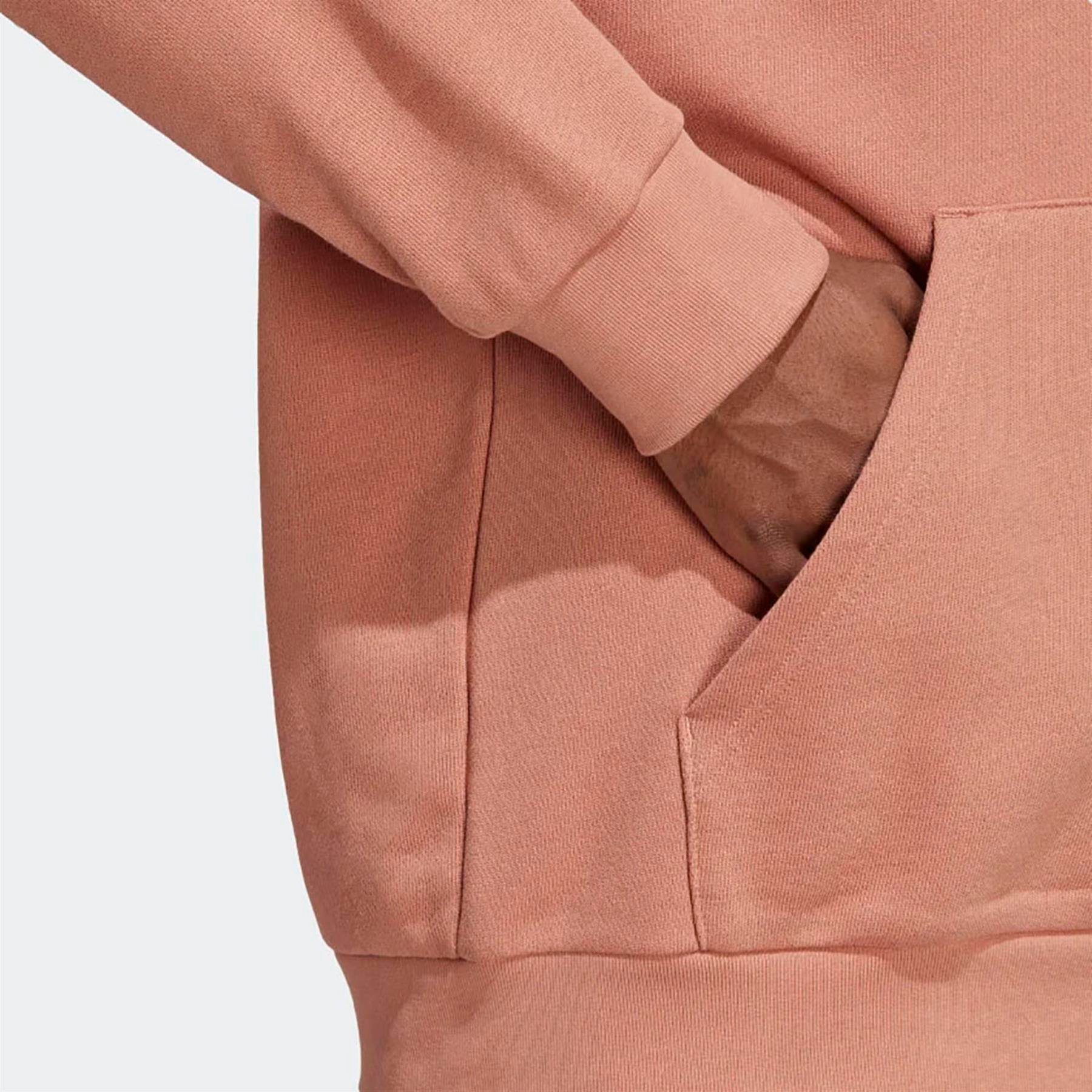 Adidas Erkek Günlük Sweatshirt Trefoil Hoody Ia4887
