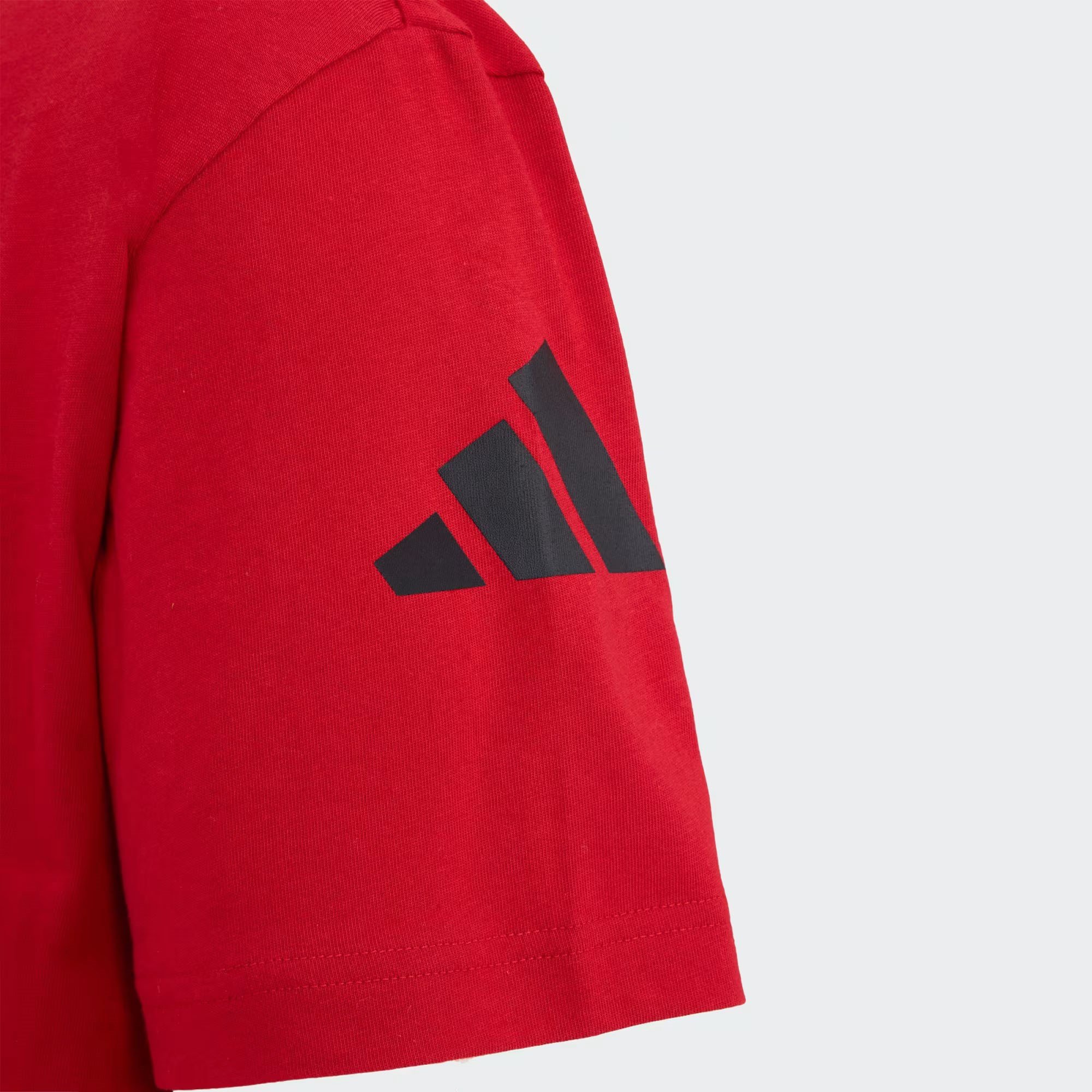 Adidas Erkek Günlük T-shirt Filenin Sultanları Kn2494 FILENIN SULTANLARI GRAP TEE M
