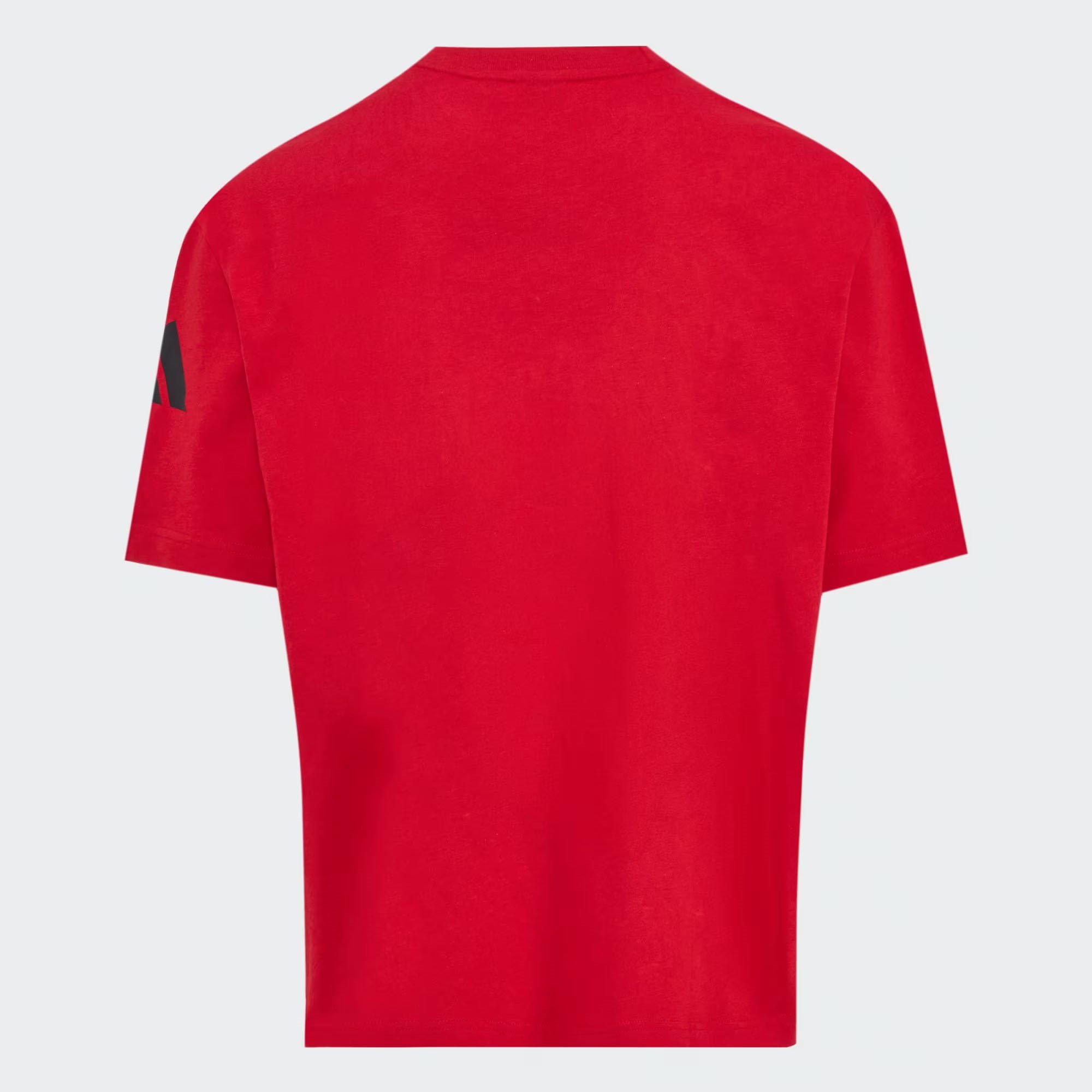 Adidas Erkek Günlük T-shirt Filenin Sultanları Kn2494 FILENIN SULTANLARI GRAP TEE M