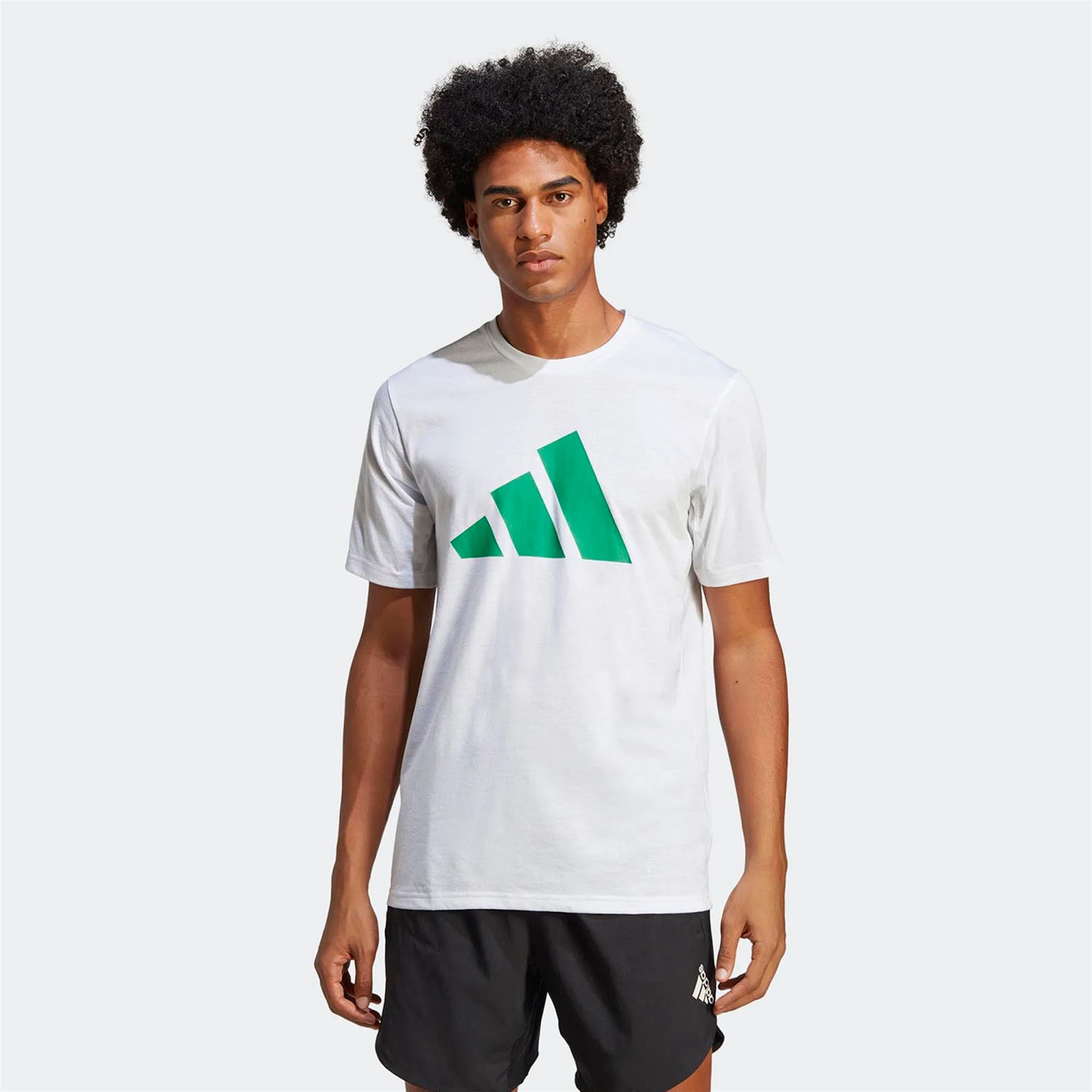 Adidas Erkek Günlük T-Shirt Tr-Es Fr Logo T Ic1219