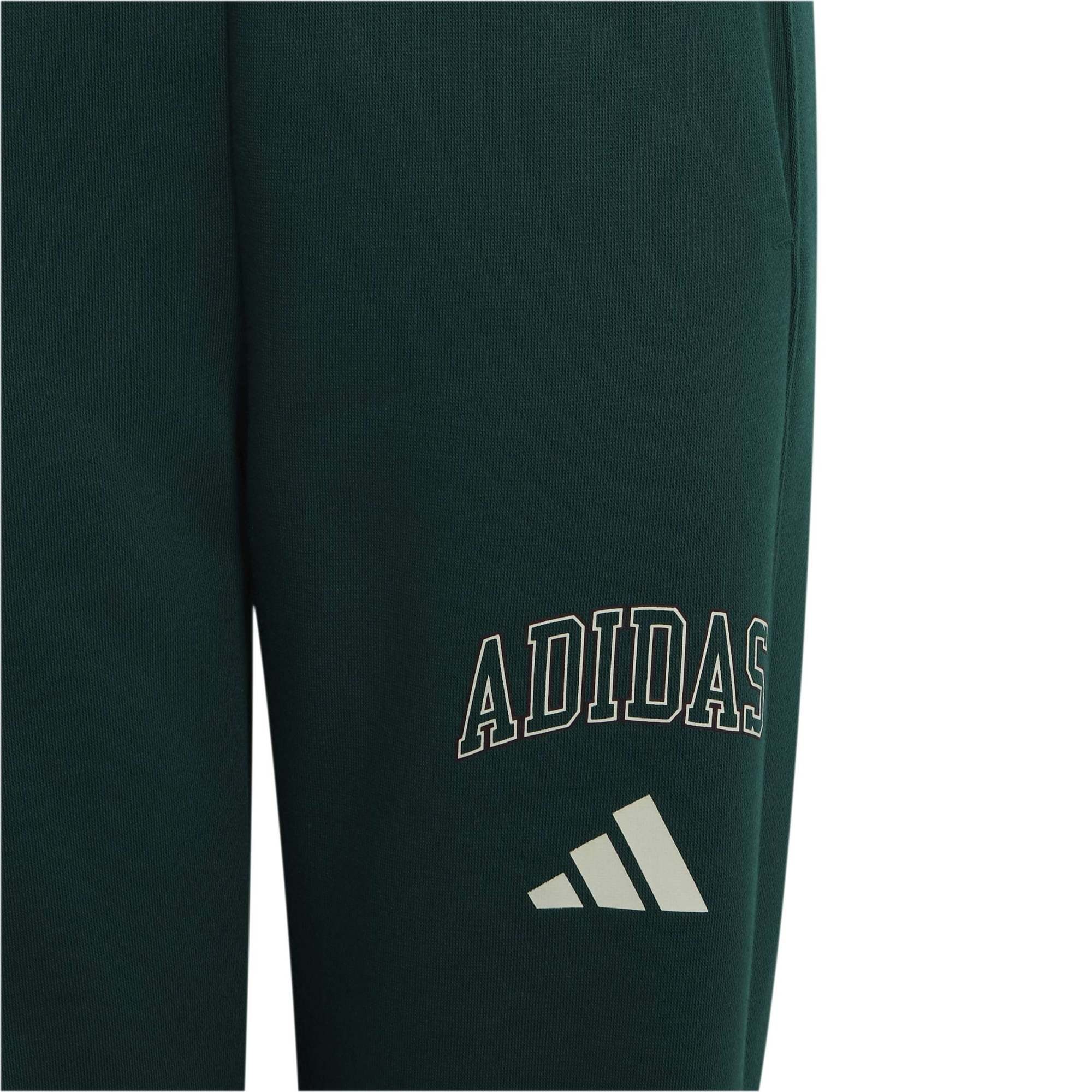 Adidas Genç Günlük Eşofman Altı J CLGT FL PNT KS5129