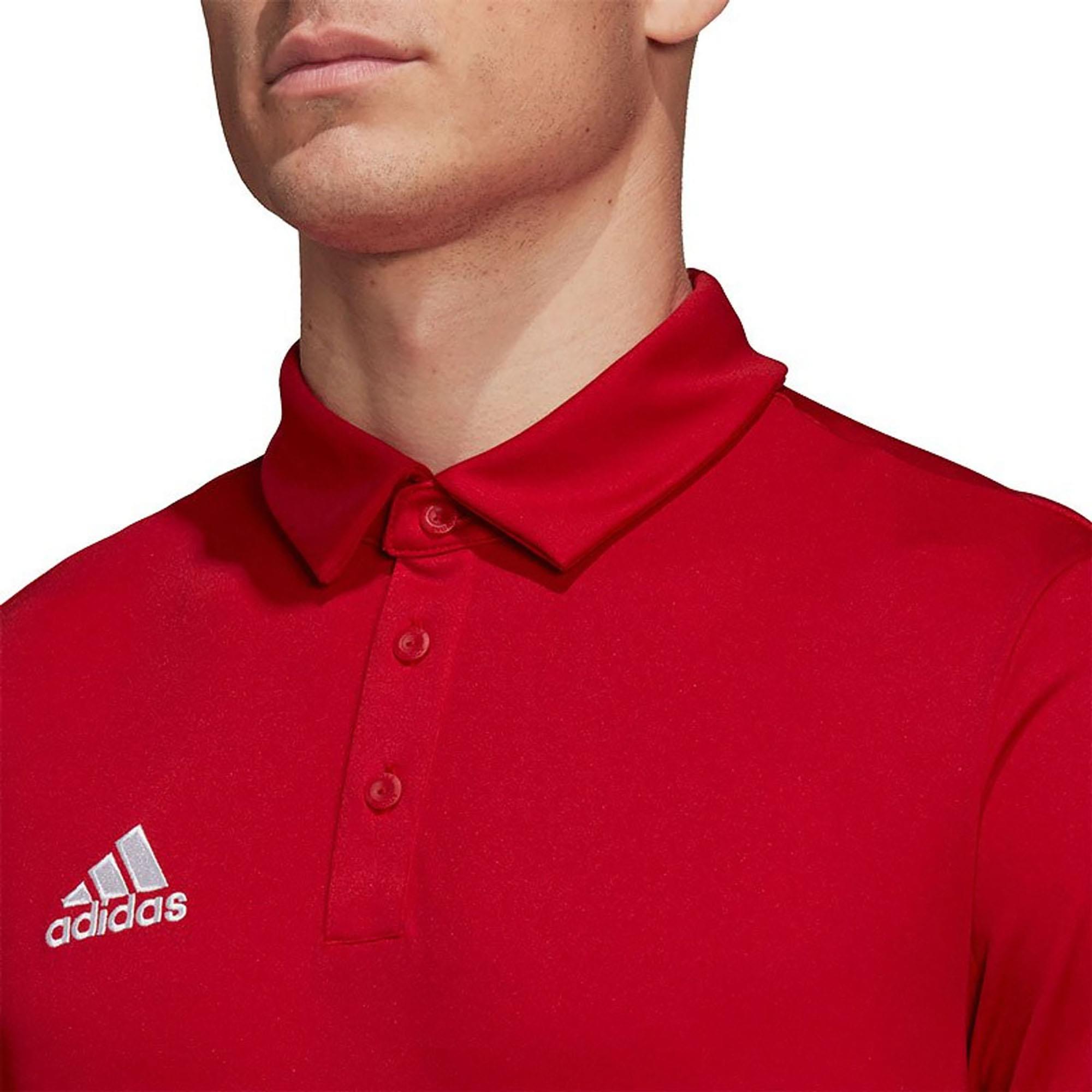 ENT22 POLO