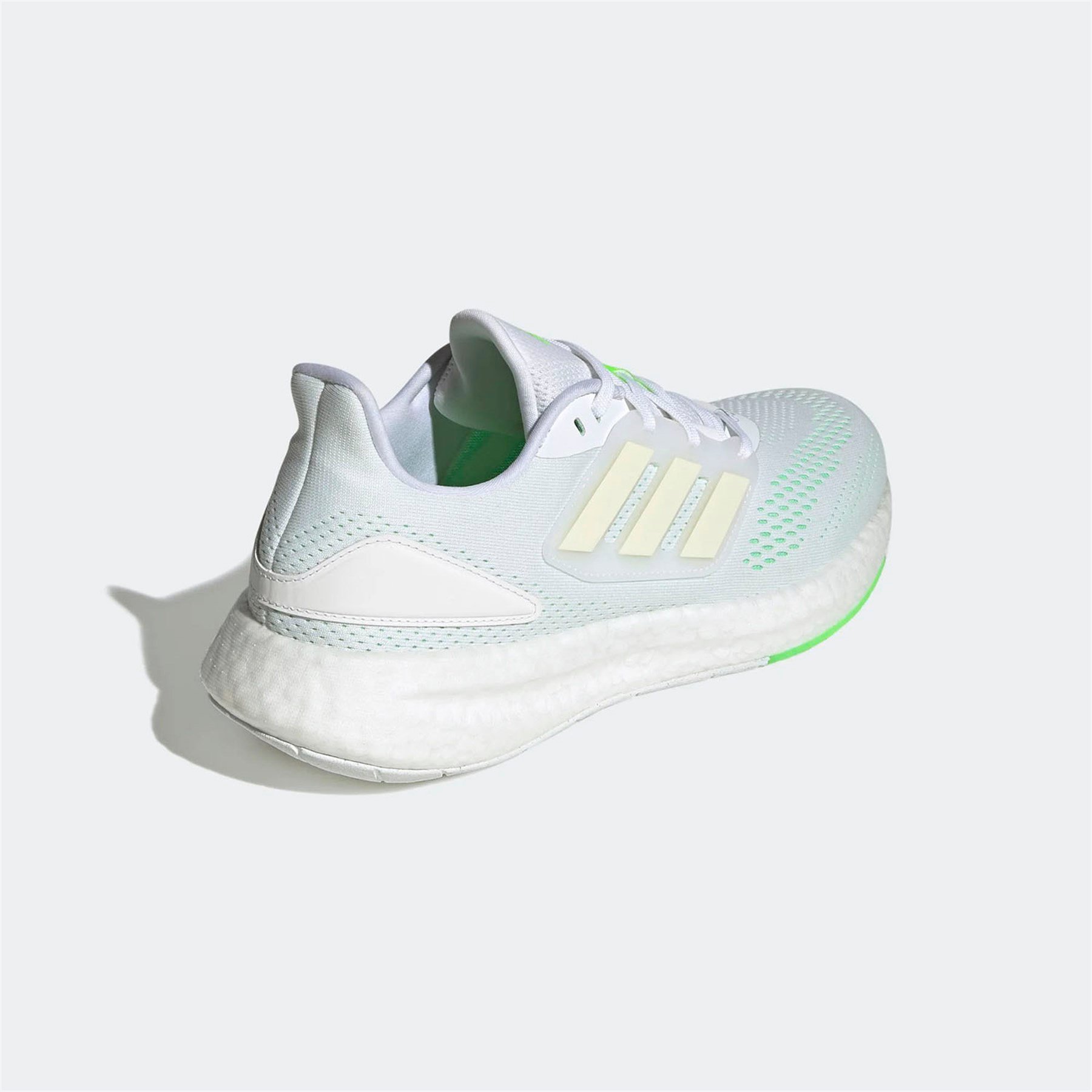PUREBOOST 22
