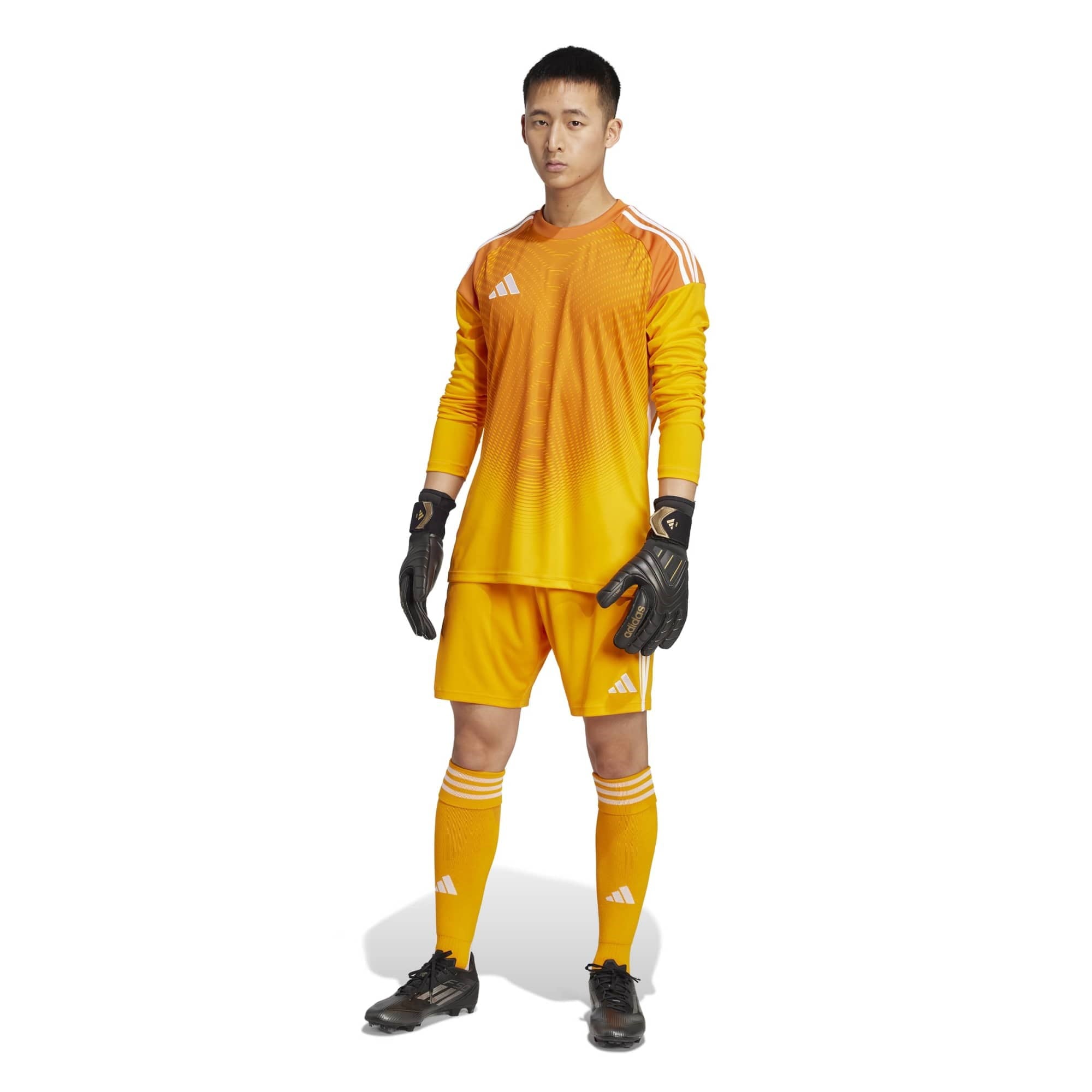 T25 C GK JSY LM