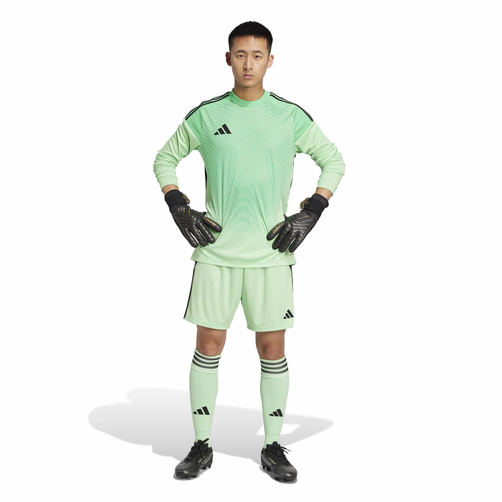 T25 C GK JSY LM
