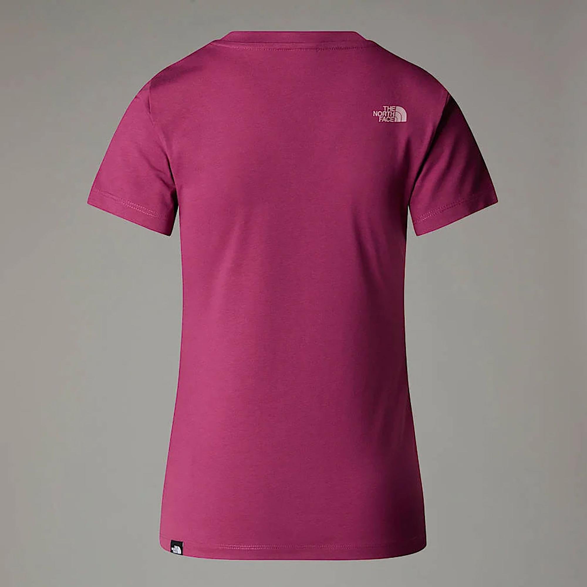The North Face Kadın T-Shirt Ss Easy Tee Nf0A8A6D90M1