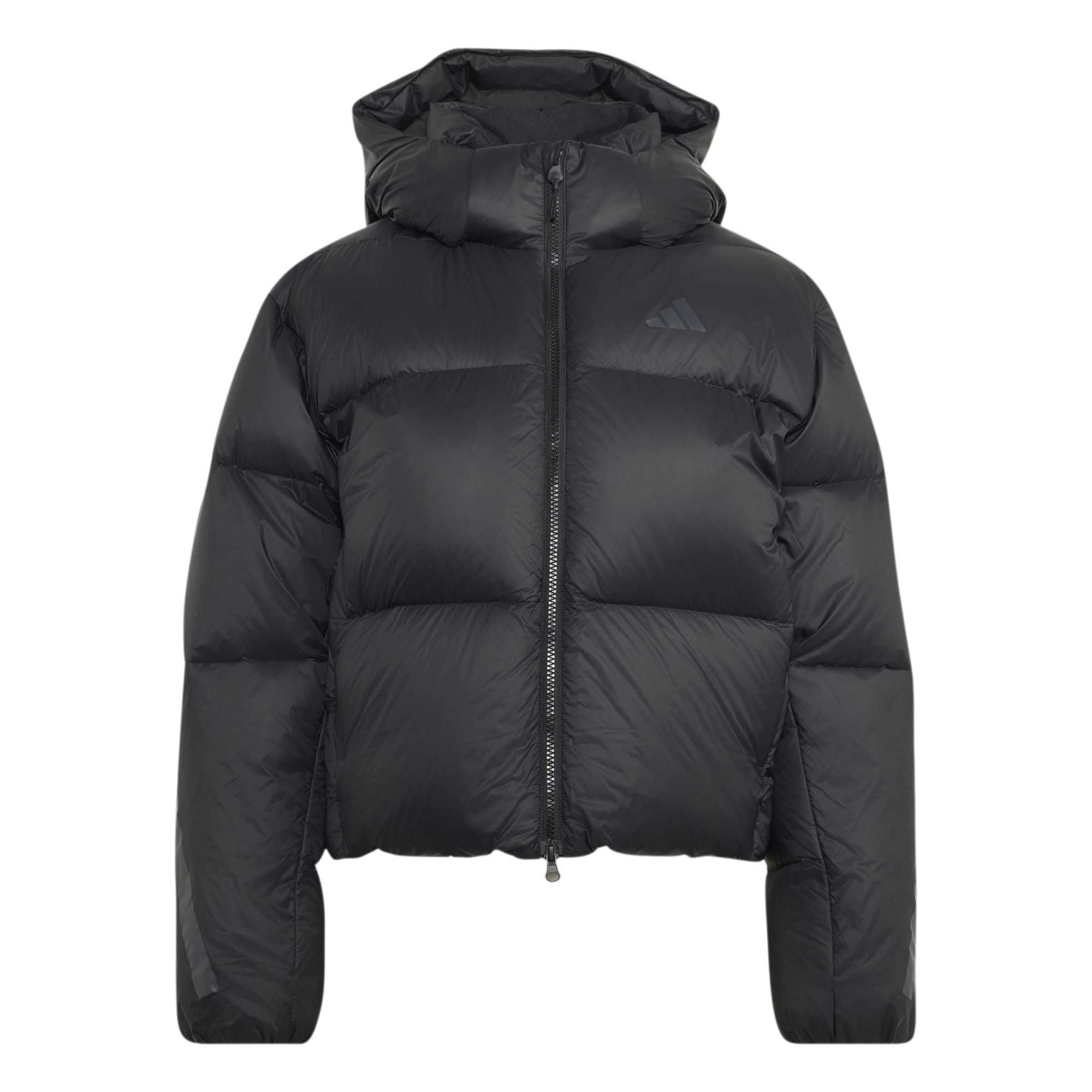 W Z.N.E. PUFFER