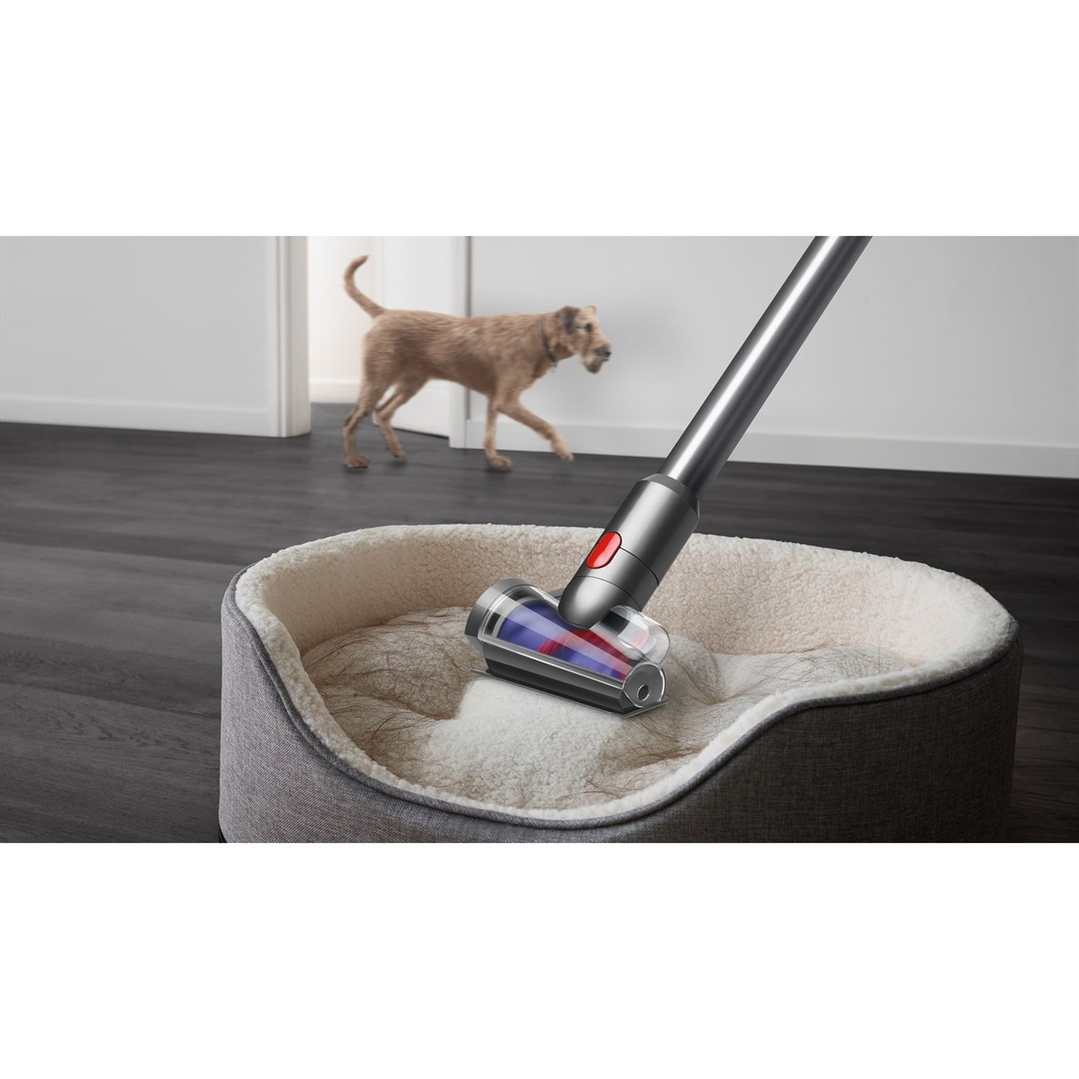  DYSON V15 DETECT ABSOLUTE KABLOSUZ SÜPÜRGE