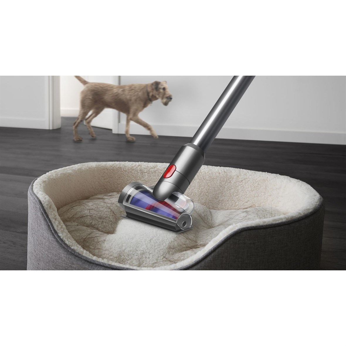 Dyson V12 Detect Slim Absolute Kablosuz Süpürge