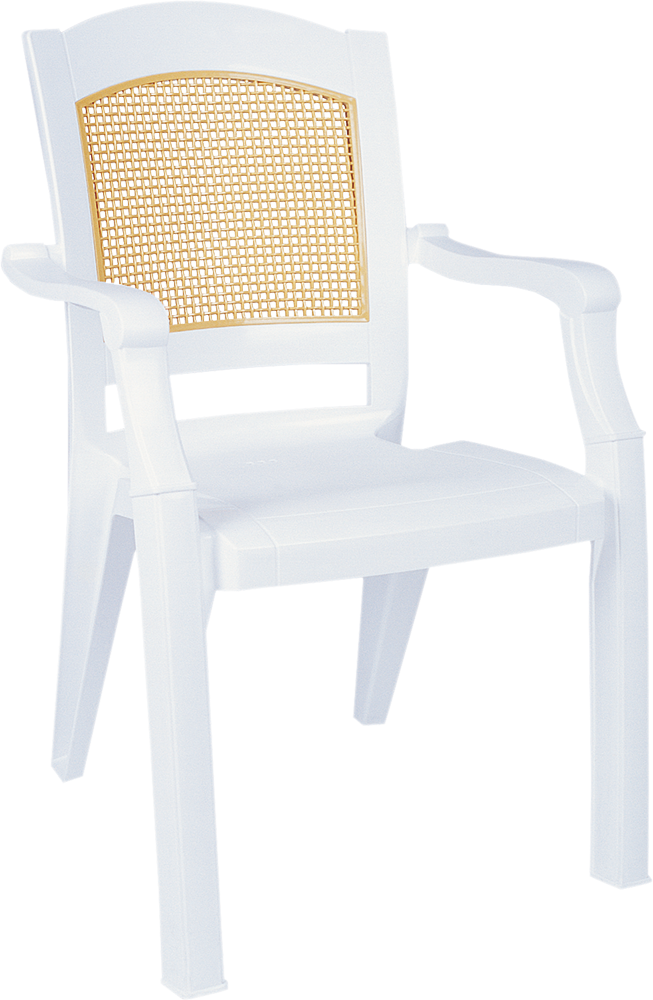 MODERN BAHÇE SANDALYESİ
