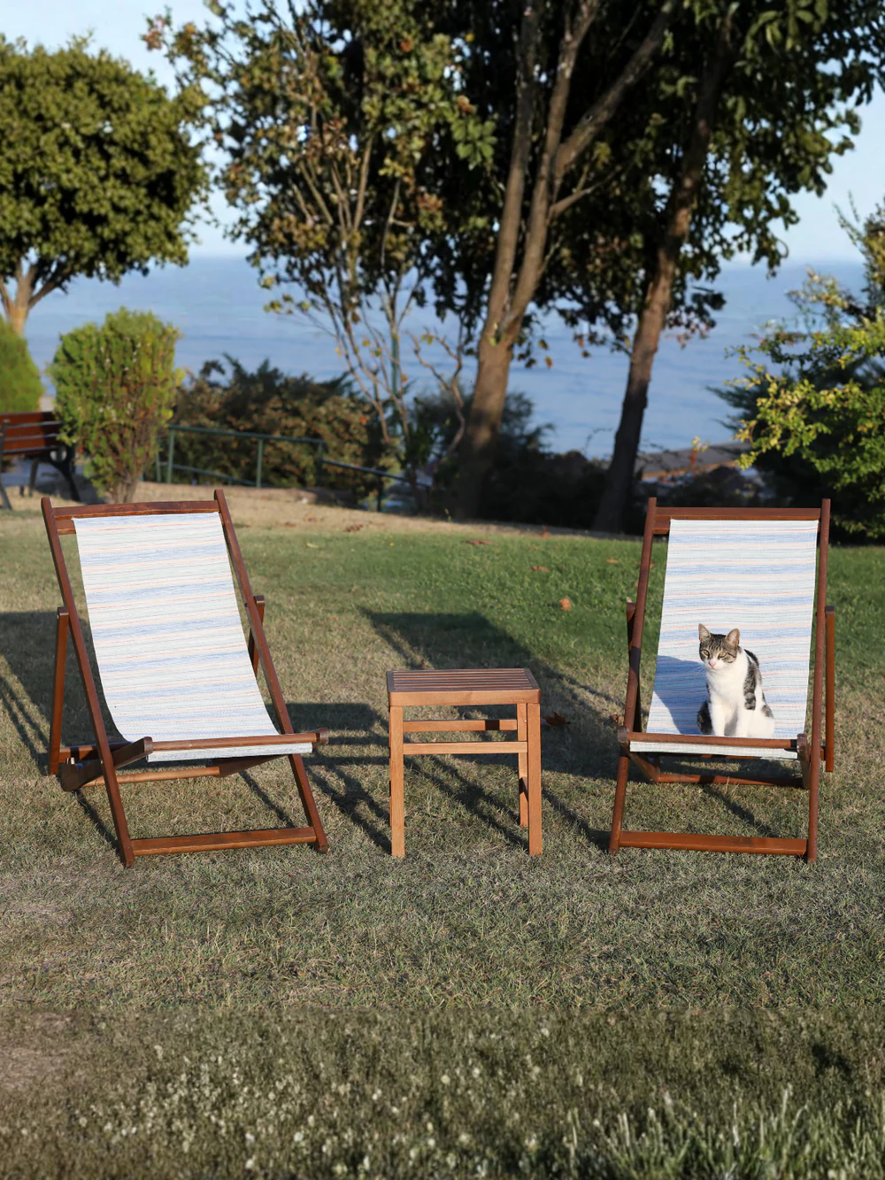 Sunset Ahşap Katlanır Şezlong