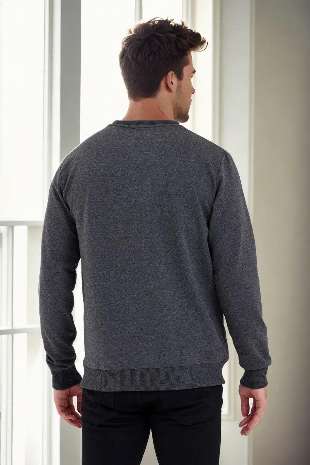 60865 Dewberry 3d Printed Mens Winter Sweatshirt-ANTRASİT