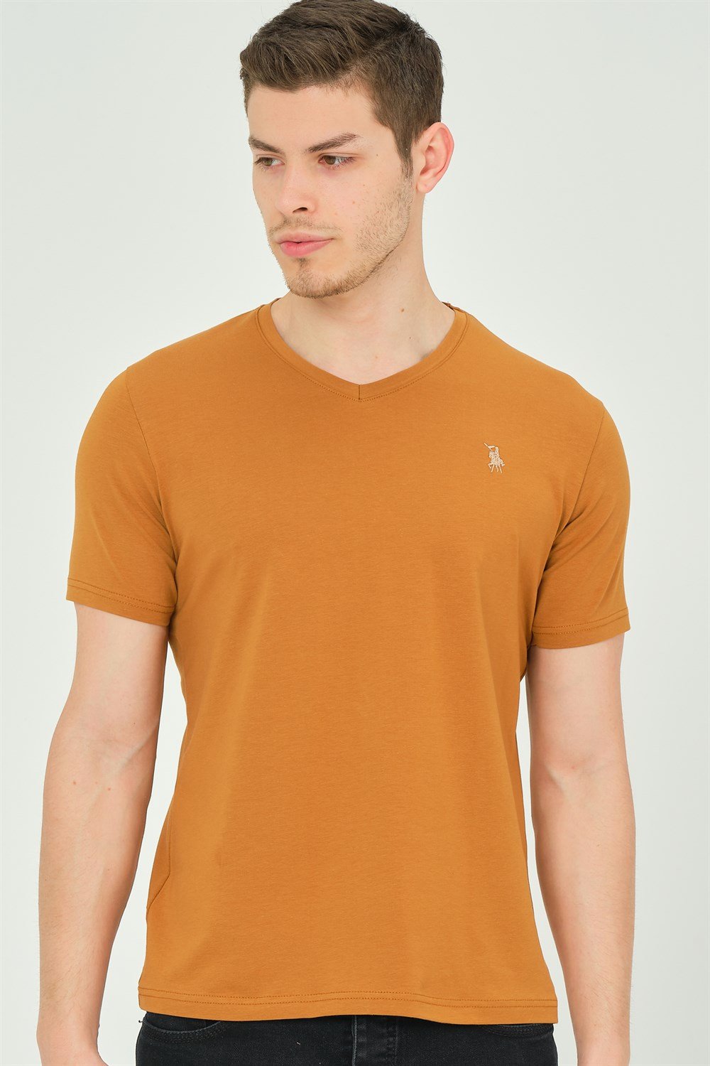 T8568 DEWBERRY V YAKA ERKEK T-SHIRT-CAMEL