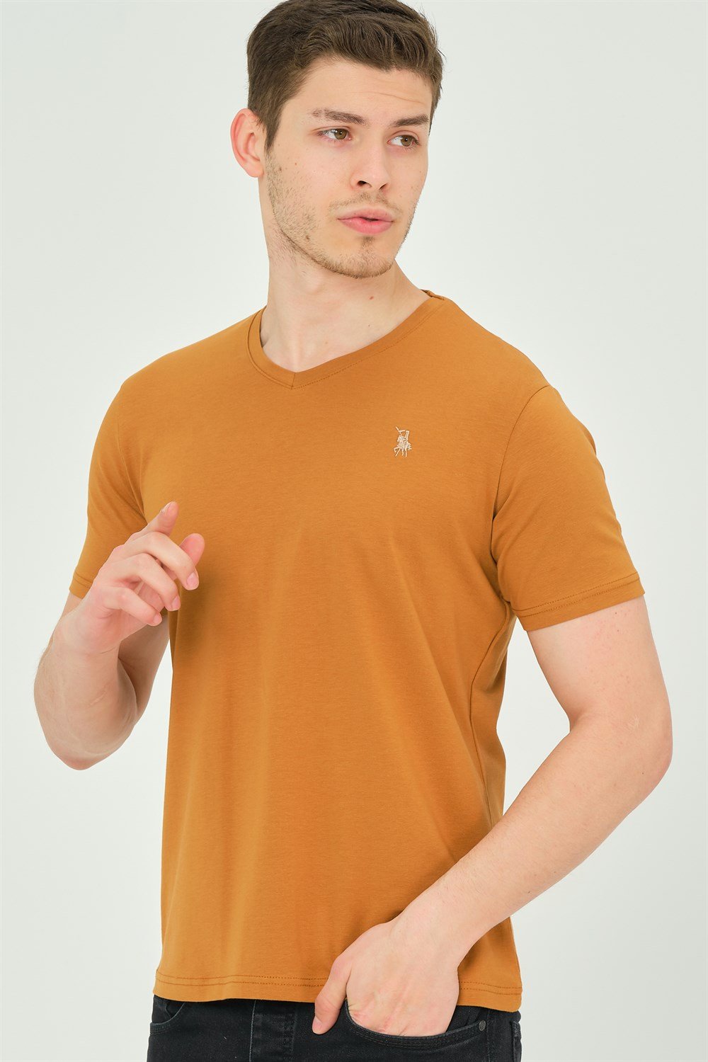 T8568 DEWBERRY V YAKA ERKEK T-SHIRT-CAMEL