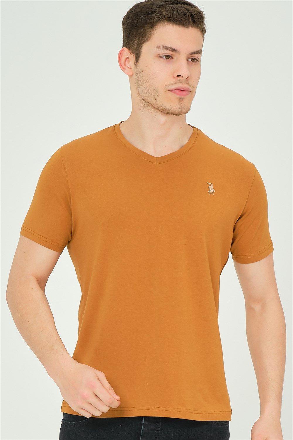 T8568 DEWBERRY V YAKA ERKEK T-SHIRT-CAMEL