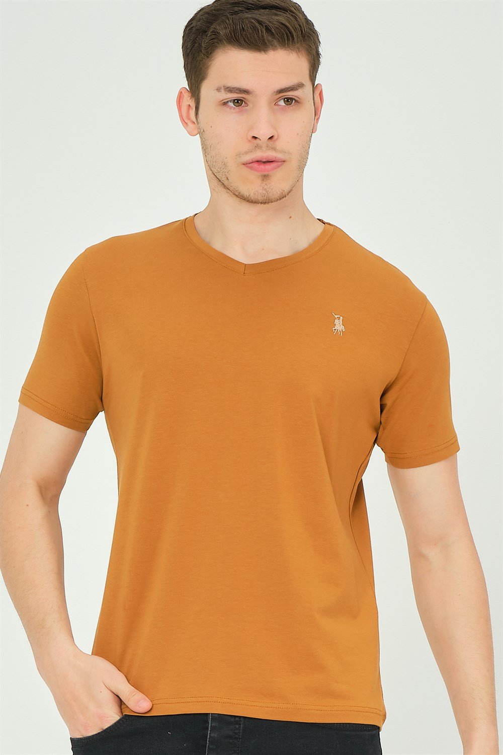T8568 DEWBERRY V YAKA ERKEK T-SHIRT-CAMEL