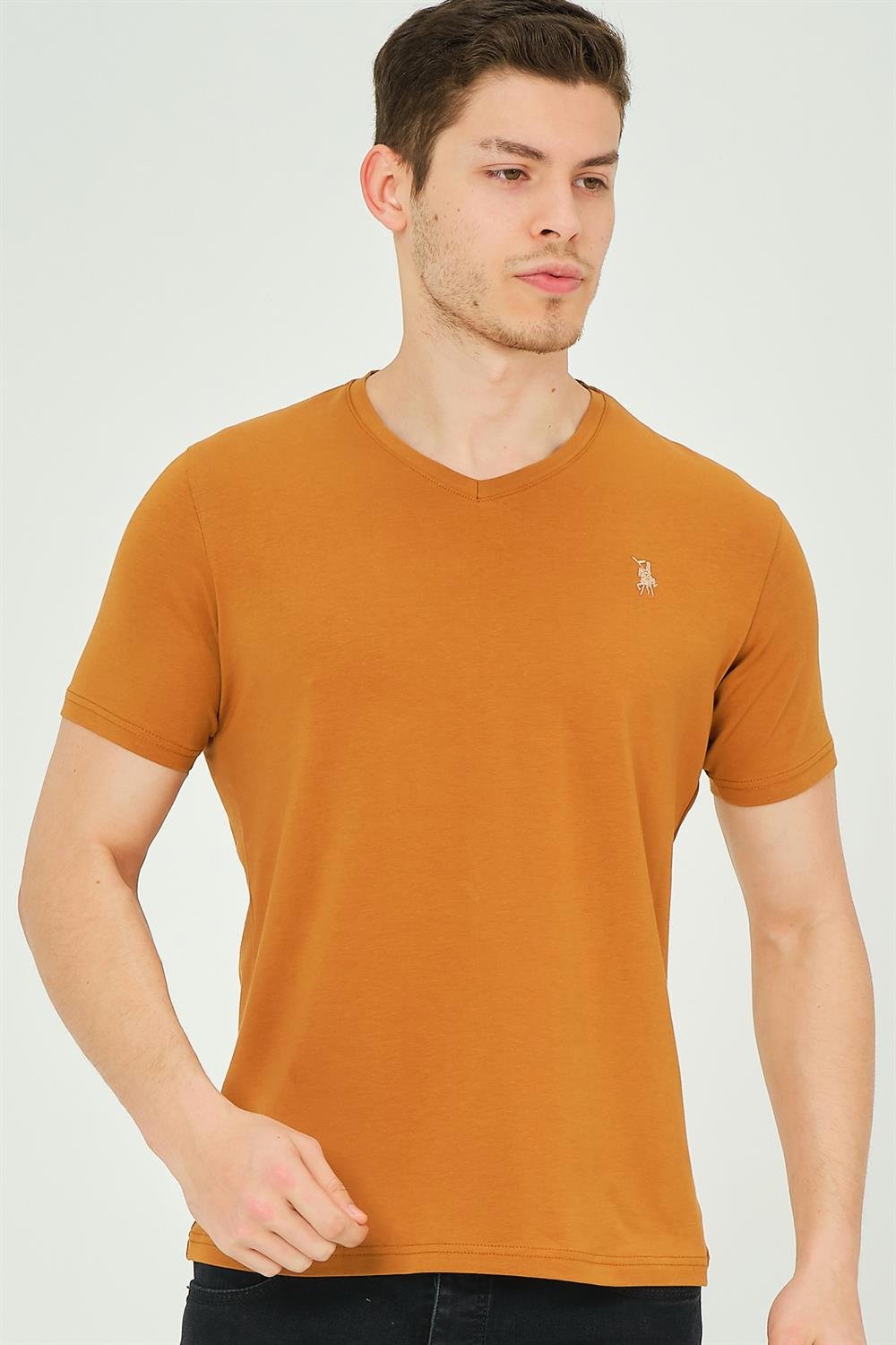 T8568 DEWBERRY V YAKA ERKEK T-SHIRT-DÜZ CAMEL