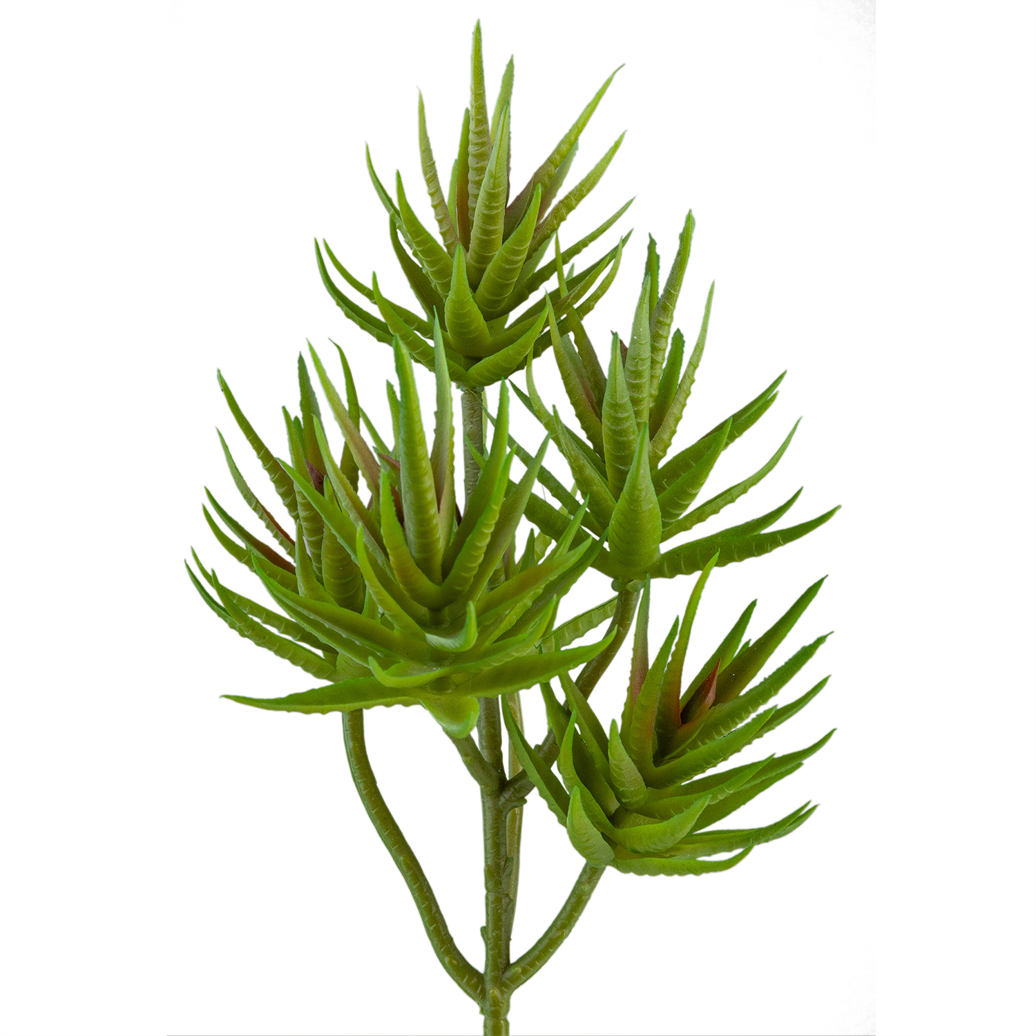 2025*YAPAY SUKULENT İĞNE PARLAK YAPRAKLI MODEL BYL2025481 - Kaktüs ve Sukulentler